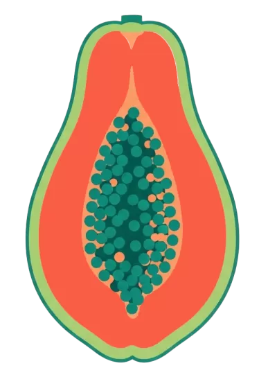 Imagen PNG para descargar